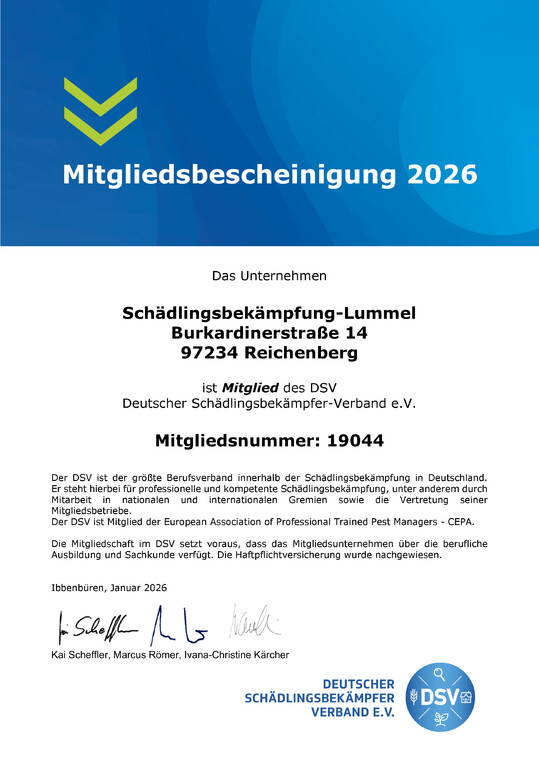 Lummel-Mitgliedsbescheinigung-2026